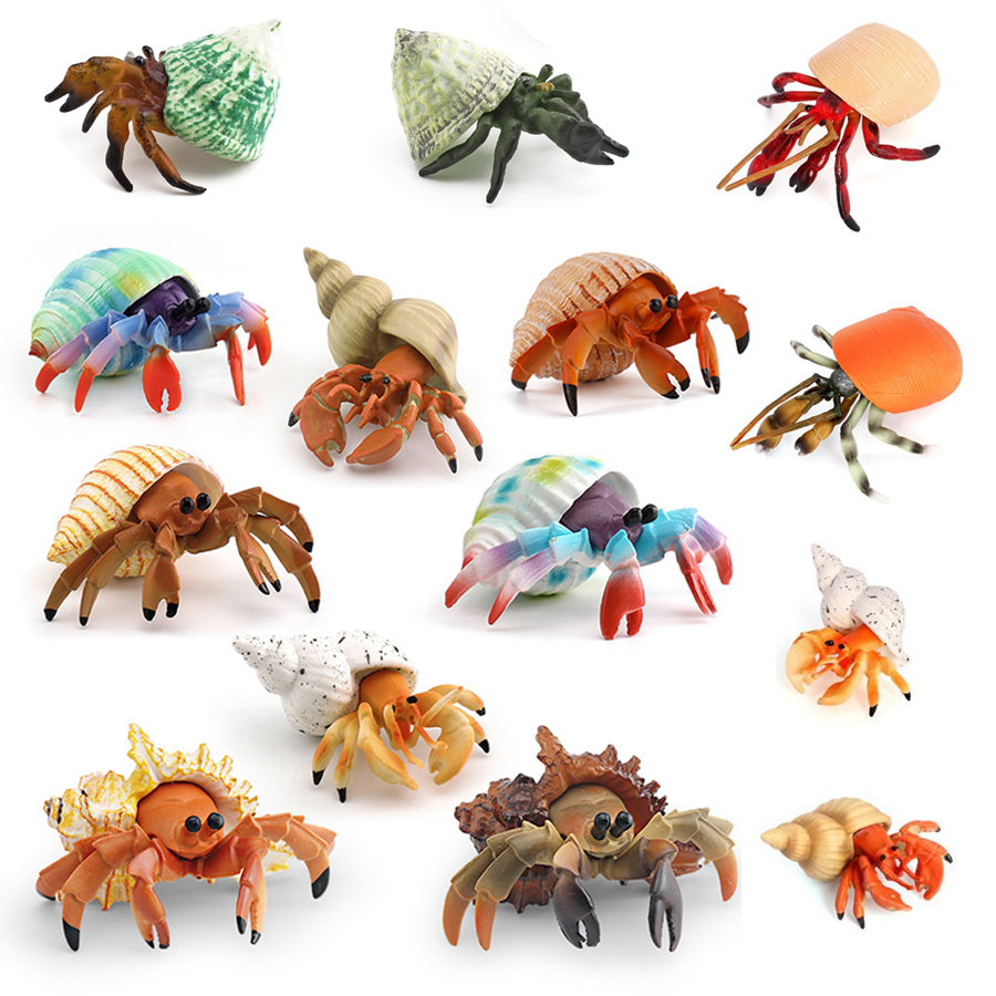 Realistic Hermit Crab Figurine - Kids Toys 3 Year Old review and price